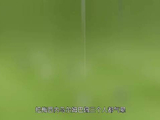 维蒂尼亚领衔葡萄牙世界杯最强中场