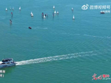 山东日照碧海白帆逐浪绘就初夏画卷