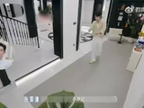 恋综嘉宾萌宠开场吸睛成赢家