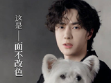 什么狗到王一博手里都乖巧懂事了