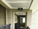 没耐心能不能别养宠物
