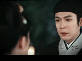 杨紫《家业》广告总数176个，集均4.19个