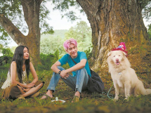             《心犬相随》剧照          