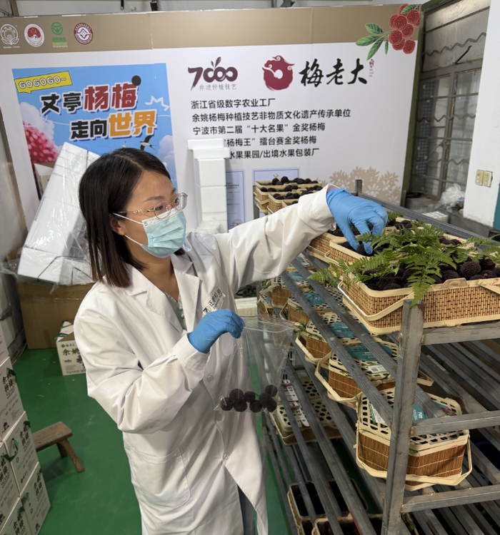 检测人员正在随机抽检杨梅。新京报贝壳财经记者俞金旻 摄
