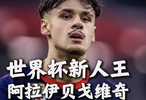  波黑新星阿拉伊贝戈维奇出征世界杯