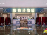 李晨白鹿跑男组牛白组合，镜头前翻白眼引热议