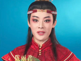 陈丽君我的大观园登央视