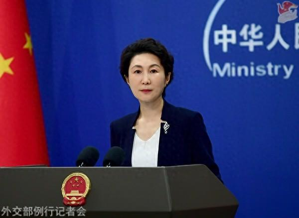 毛宁资料图。图源：外交部网站