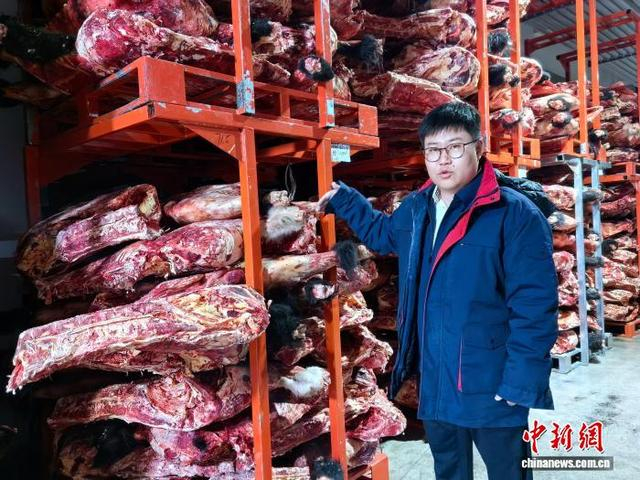 图为王瑞在冷链仓库介绍牛羊肉出省流程。李隽 摄