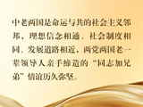 镜观·回响｜中老友好 大道同行