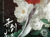 腾讯S+项目《开到荼靡》最终是否会因为粉丝抵制而更换导演？