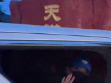 开窗了车开的特别慢 特别真诚的小羊
