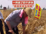 大衣哥回老家收麦子卖了四千多元