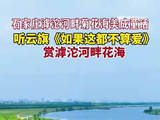 周二一起听云旗