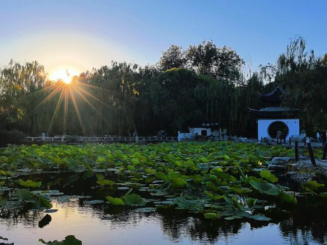 林晓华摄