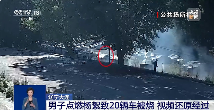 男子點燃楊絮致20輛車被燒該如何定責？專家解讀