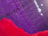 黄霄雲绿皮火车送高考祝福，暖心鼓励备考粉丝