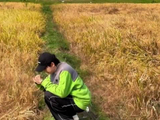 卓沅麦田重现原皮造型，演唱降落在明天引感动