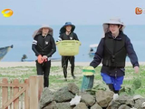 张宥浩推彭昱畅下水，大战一触即发，场面太混乱了！