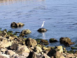 李润土在渤海深处的荒岛上，无聊之时，又在瞎寻开心
