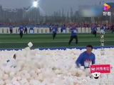 B组成员太强大，郑恺都害怕了，直言：反正有复活卡