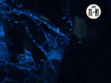 陈小春粤语翻唱《借过一下》，港味演绎TVB版范闲