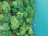 桨破涟漪邂逅水上杉林