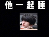 这位来自山城的娃儿，黏人指数爆表🐱 家有萌宠