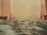 刘浩存具体在哪些影视作品和活动中展现了强烈的甜酷反差感？