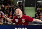 樊振东加盟杜塞尔多夫盘活德甲，波尔队伍获世界级强援