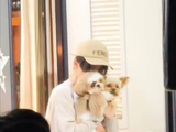 檀健次戴着呆球“口罩”下班了，哈哈哈哈哈呆球都挡不住的帅气！