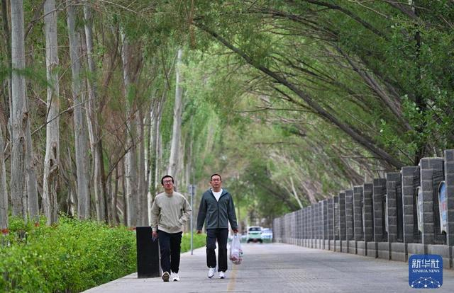 2026年6月6日拍摄的格尔木市一处人行道。新华社记者张龙摄