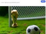 世界杯伊朗代表团有十余人遭美国拒签，伊朗足协：美方拒发签证是对体育运动“最恶劣的政治干涉”，将向国际足联申诉