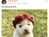娱乐圈的“高考闹钟”来了，李荣浩“霸总式”送考