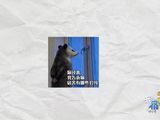 何炅抽象表情引热议,网友调侃邪恶栀子花申遗