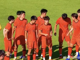 本届土伦杯U19国足2胜2负未能晋级，主教练久尔杰维奇对球队的整体表现有何评价？