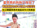 霍思燕的狗狗又夺冠了
