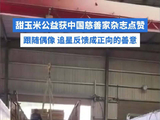 甜玉米的公益初心，跟随偶像，追星反馈成正向的善意