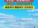 和张凌赫一起守护这片蔚蓝