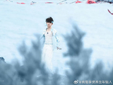 为什么苏新皓的粉丝这次用“感受”代替了所有赞美词？