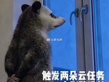 王源和文淇在电影《我看见两朵一样的云》中分别扮演什么样的角色？