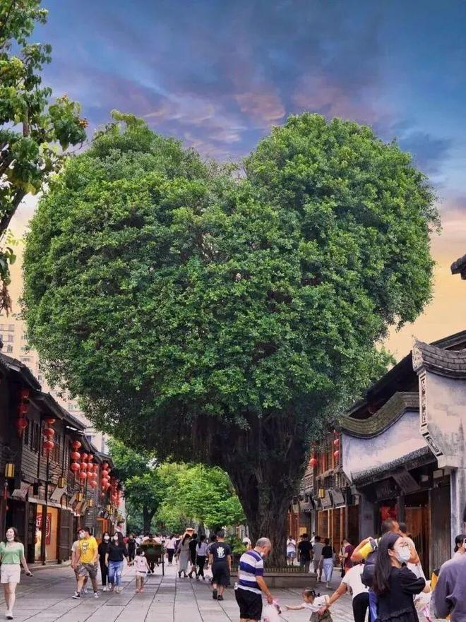 图源：小红书@陈辰辰