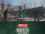 马嘉祺花园抓鸡连中两只