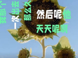 一位来自重庆的特别黏人的小朋友