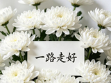 吴文忻生前都出演过哪些影视作品让观众印象深刻？