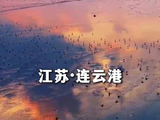 沉浸式感受连云港候鸟飞舞之美
