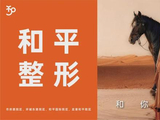 接连2天，又有大明星来龙湾开演唱会？
