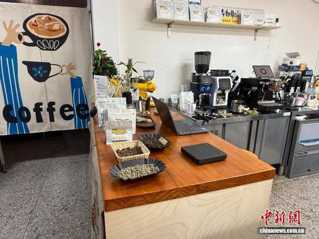 乡村里的咖啡豆体验中心。陈曦供图