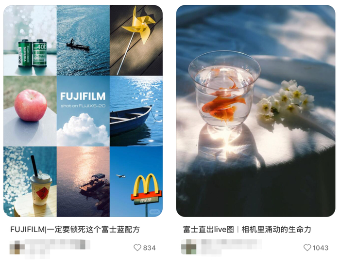截图来源于小红书