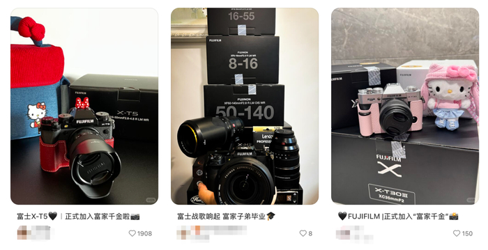 截图来源于小红书